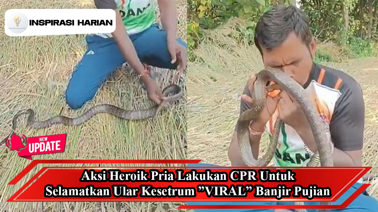 Aksi Heroik Pria Lakukan CPR Untuk Selamatkan Ular Kesetrum ”VIRAL” Banjir Pujian