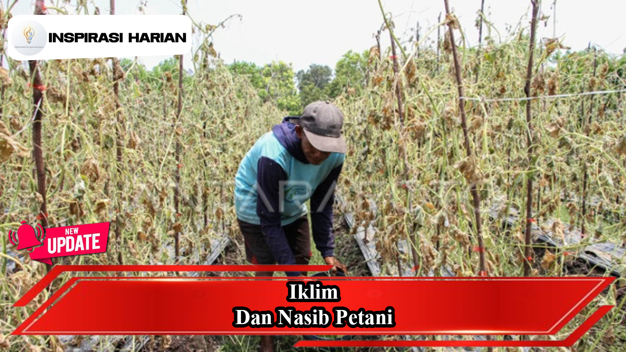 Iklim Dan Nasib Petani